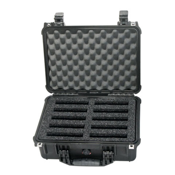 Transportkoffer f&uuml;r 10 x 3,5 Festplatten + DriveBoxen